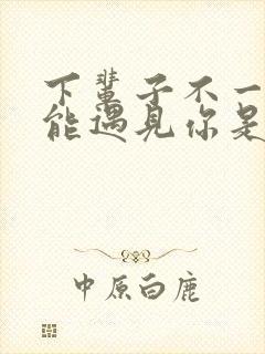 下辈子不一定还能遇见你是什么歌