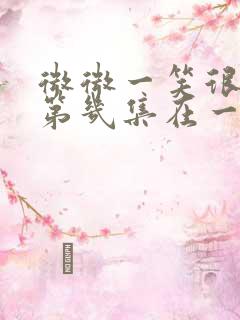 微微一笑很倾城第几集在一起的