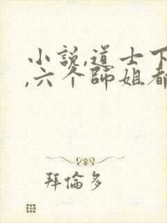 小说,道士下山,六个师姐都护我