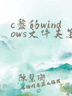 c盘的windows文件夹怎么清理