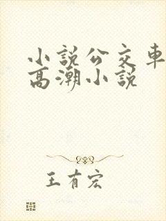 小说公交车被上高潮小说