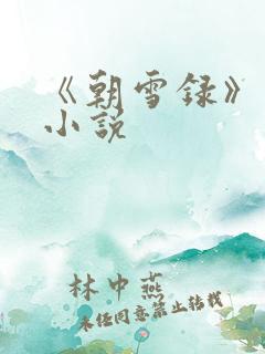《朝雪录》原著小说