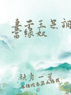 妻子玉足调教我当绿奴