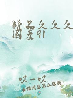 精品久久久久久国产91