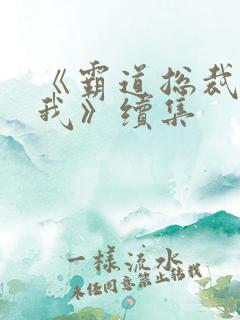 《霸道总裁爱上我》续集