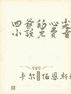 四爷的心尖宠妃小说免费看