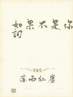 如果不是你 歌词