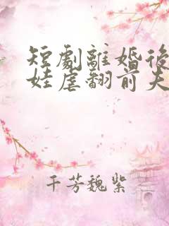 短剧离婚后我带娃虐翻前夫家