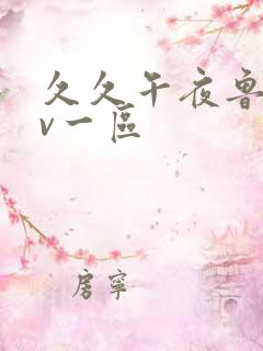 久久午夜鲁丝av一区