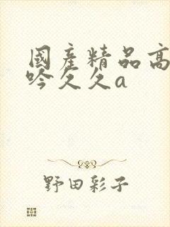 国产精品高潮呻吟久久a