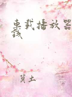 车载播放器多少钱