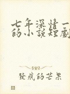 七年深情一朝尽的小说短剧