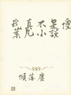 我真不是傻子了叶凡小说