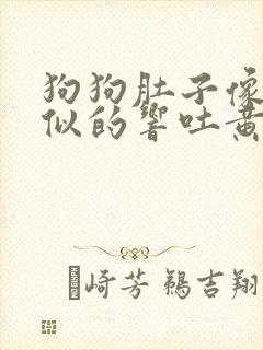 狗狗肚子像拉稀似的响吐黄水