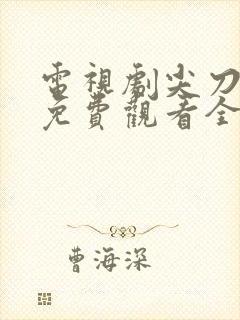 电视剧尖刀战士免费观看全集