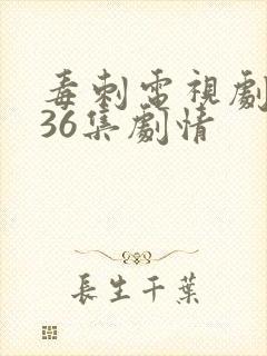 毒刺电视剧全集36集剧情