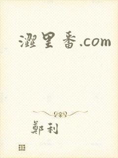 涩里番.com