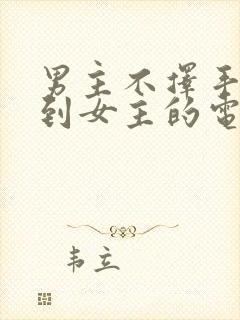 男主不择手段得到女主的电视剧