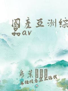 国产亚洲综合精品av