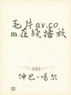 毛片av.com在线播放