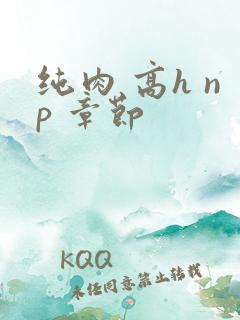 纯肉 高h np 章节