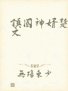 镇国神婿楚尘全文
