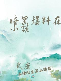 暗黑爆料在线吃小说