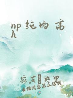 np 纯肉 高h