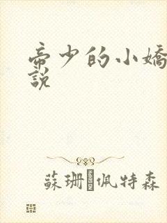 帝少的小娇妻小说
