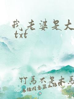 我老婆是大明星 txt