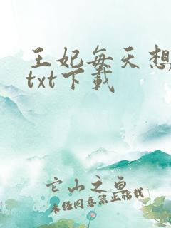王妃每天想和离txt下载