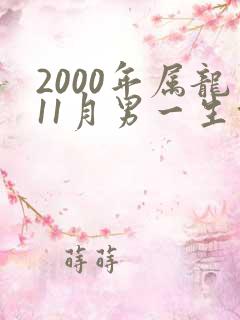 2000年属龙11月男一生命运
