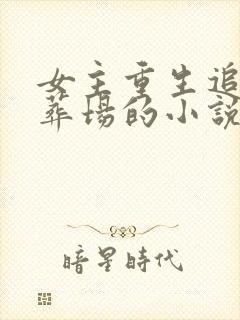 女主重生追夫火葬场的小说