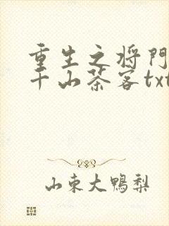 重生之将门毒后千山茶客txt电子书