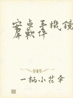 安卓手机镜像投屏软件