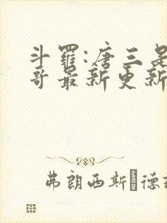 斗罗:唐三是我哥最新更新章节