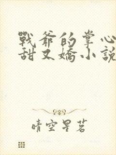 战爷的掌心宠又甜又娇小说在线阅读