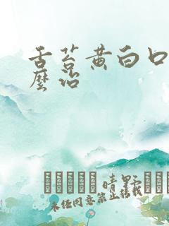 舌苔黄白口臭怎么治