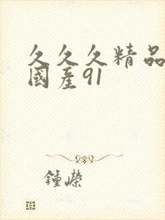 久久久精品精品国产91