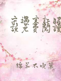 宋遇寒许昭宁小说免费阅读最新章节