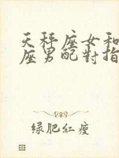 天秤座女和双子座男配对指数