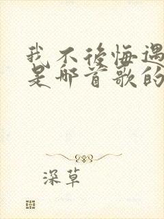 我不后悔遇见你是哪首歌的歌词