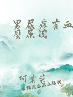 男尿疼有血是什么原因