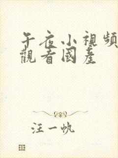 午夜小视频在线观看国产