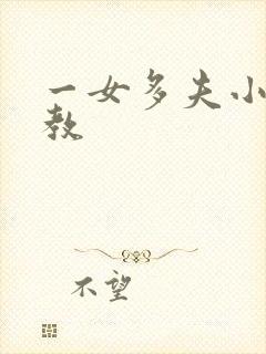 一女多夫小说调教