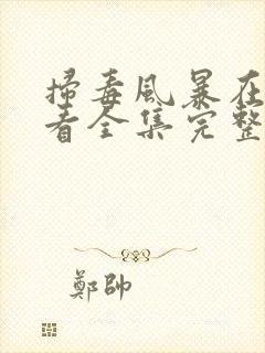 扫毒风暴在线观看全集完整版高清