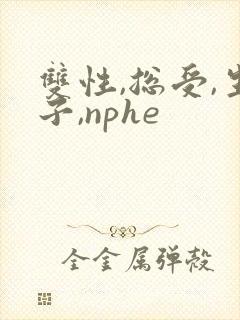 双性,总受,生子,nphe