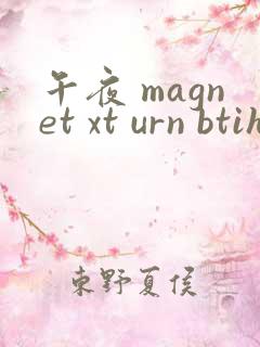 午夜 magnet xt urn btih