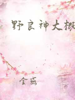 野良神大概剧情