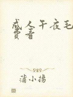 成人午夜毛片免费看